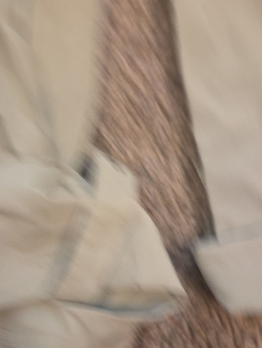 Women's Light Beige Utility Cargo Pants with Zip Pocket - Picture 6 of 8